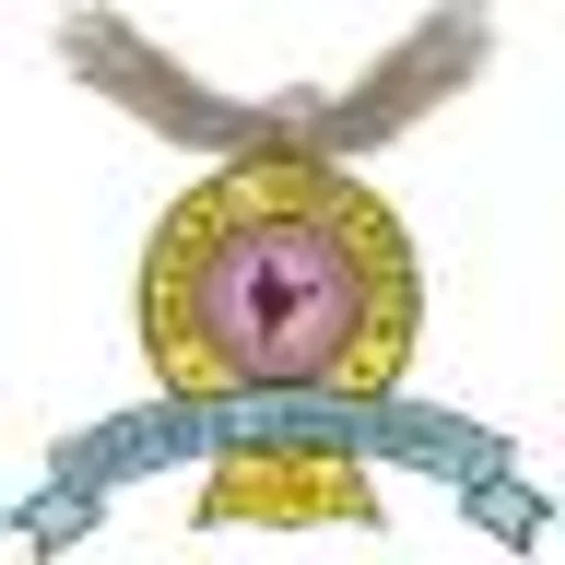 Bharati Vidyapeeth Deemed to be University Department of Management Studies Off-Campus logo