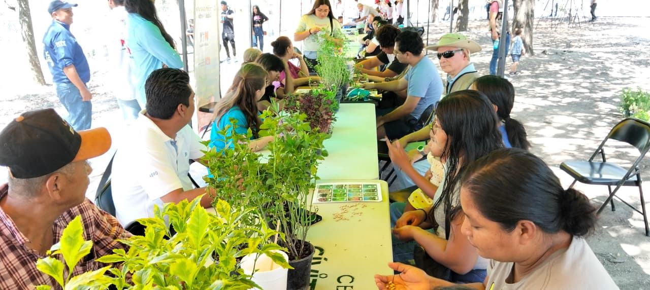 Promueve Monterrey educación ambiental con “Alameda de Pinta”