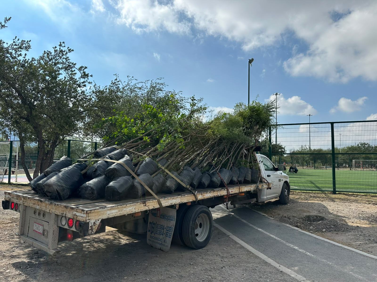 Reforesta Monterrey Área Natural con 120 árboles nativos