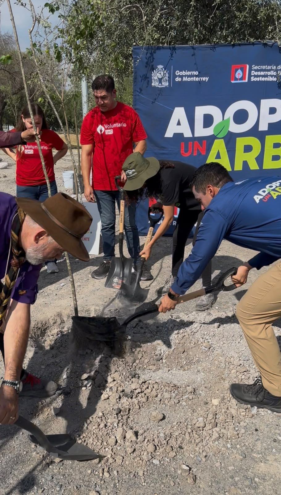 Reforesta Monterrey Área Natural con 120 árboles nativos