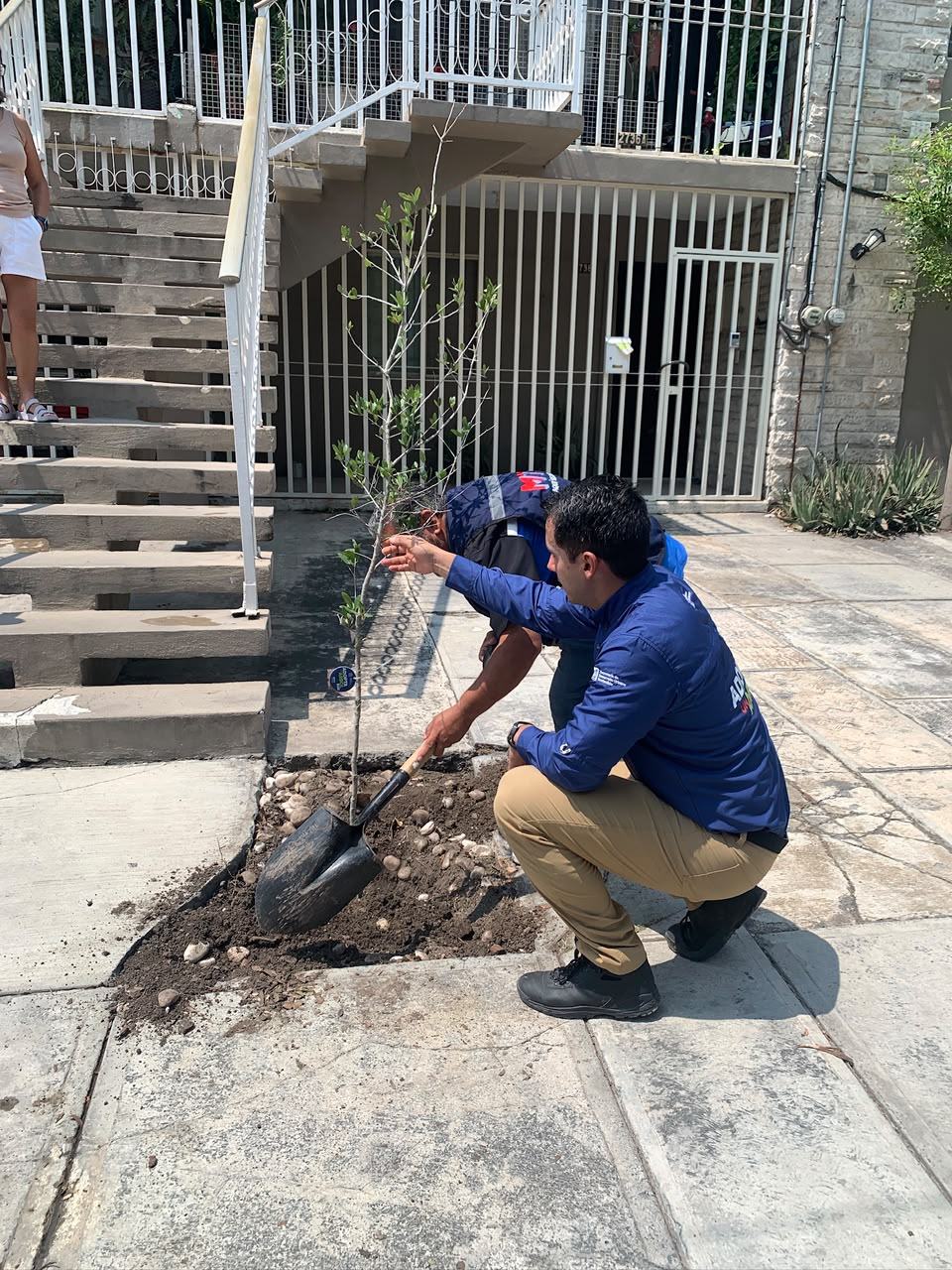 Celebran con éxito la 17ª edición de “Adopta un Árbol MTY” en el Parque Santa Rosa
