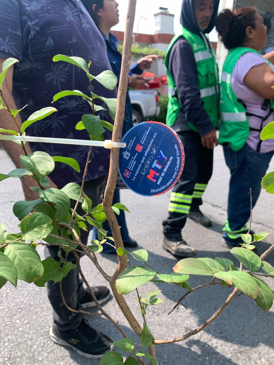 Celebran con éxito la 17ª edición de “Adopta un Árbol MTY” en el Parque Santa Rosa