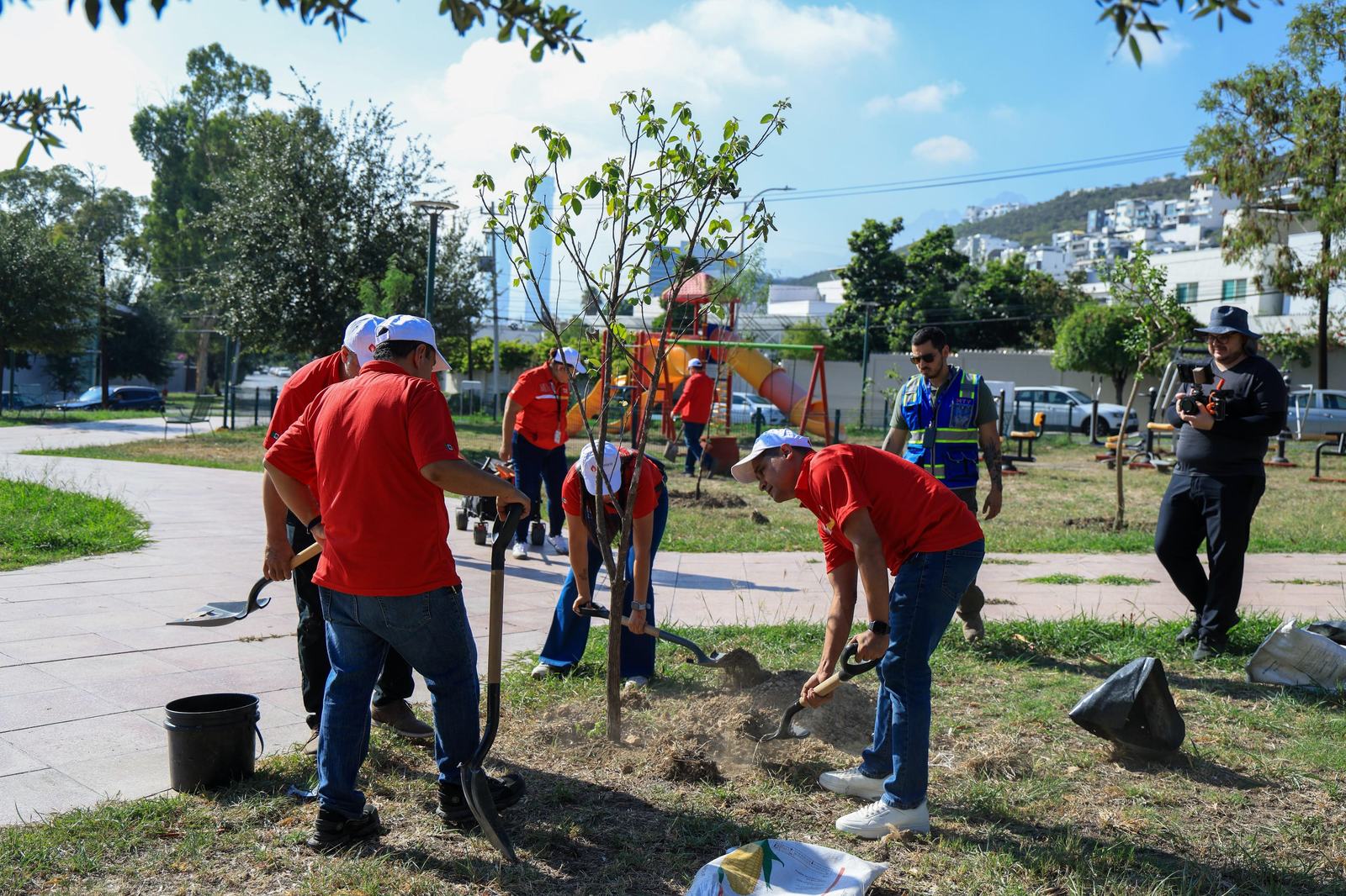 Impulsa Monterrey plantación de árboles nativos en Plaza de la Concordia