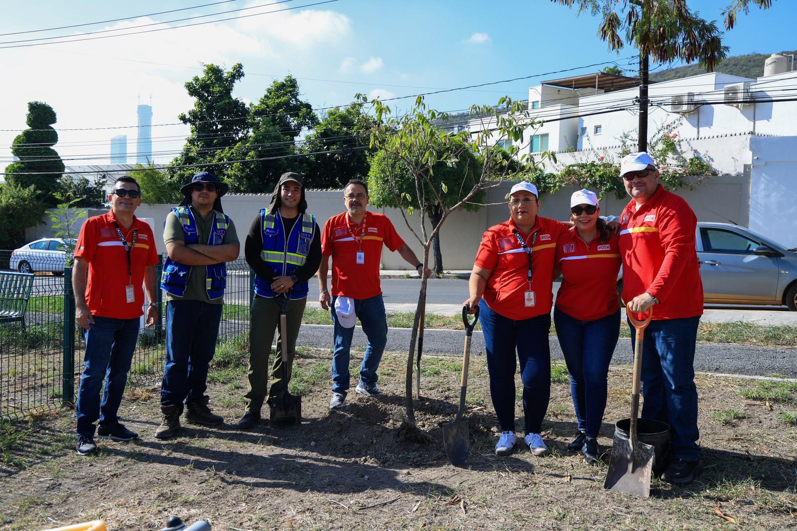 Impulsa Monterrey plantación de árboles nativos en Plaza de la Concordia