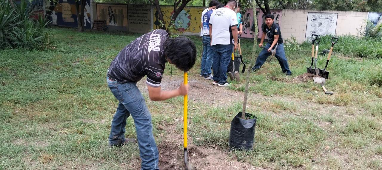 Impulsa Monterrey reforestación urbana en planteles educativos