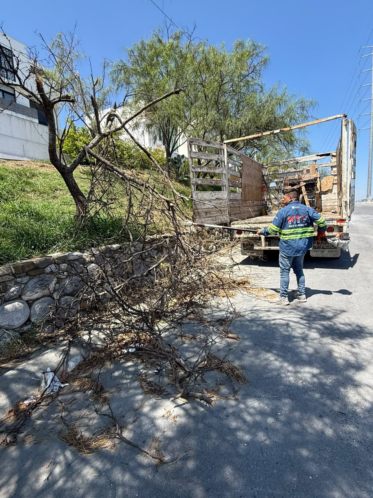 Atiende Monterrey caída de más de 40 árboles tras lluvias y fuertes vientos