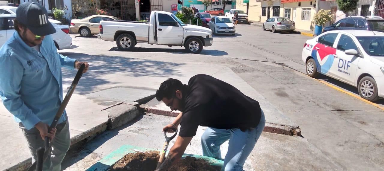 Impulsa Monterrey reforestación urbana en planteles educativos