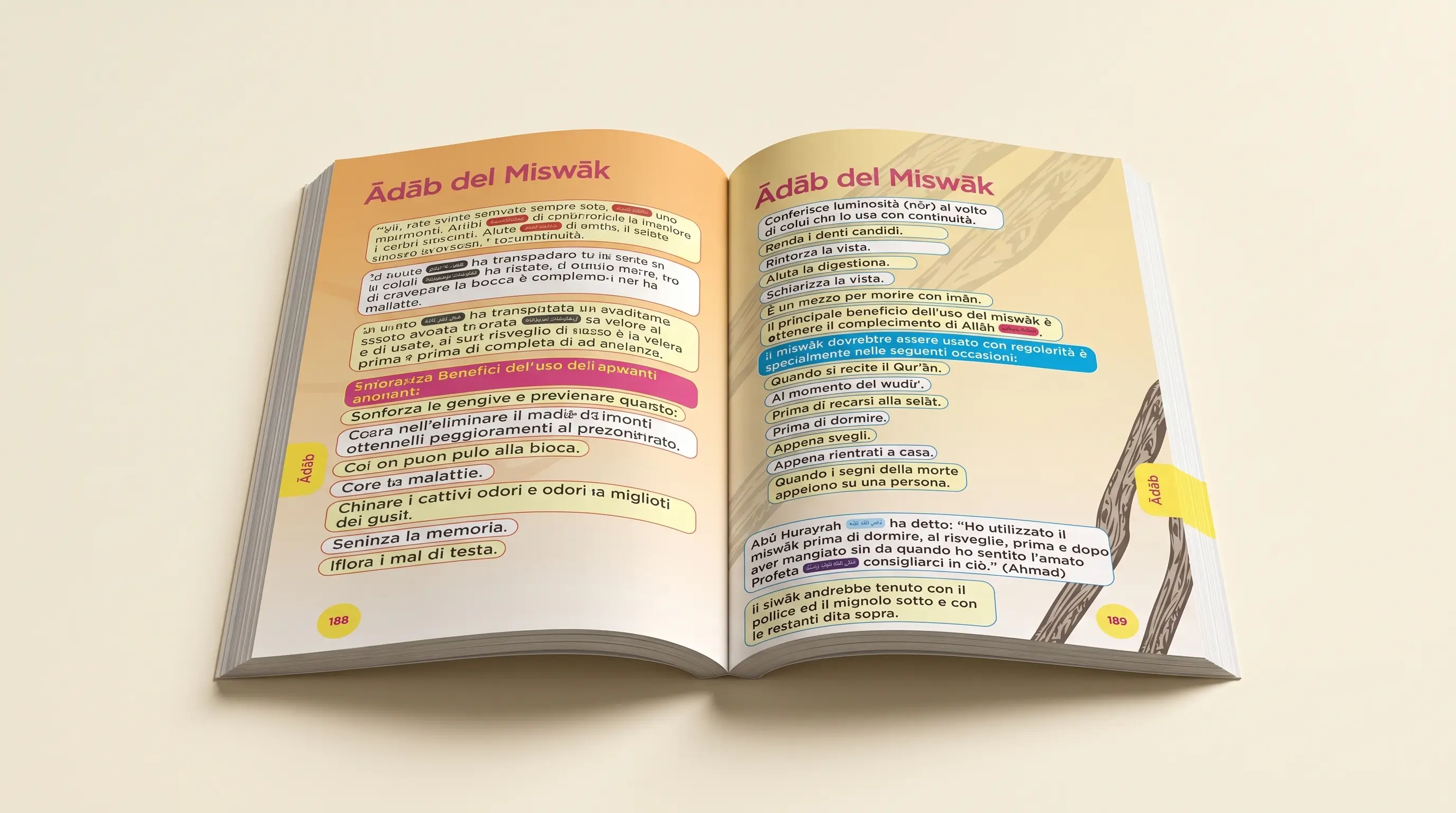Il libro di testo aperto: pagine a colori con testo breve e illustrazioni, design pensato per i ragazzi.