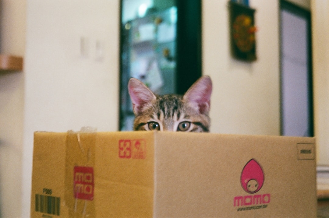 Precios mudanzas en Berga