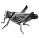 grasshopper, 128
