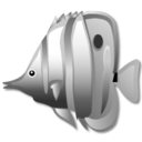 butterfly, fish, 128