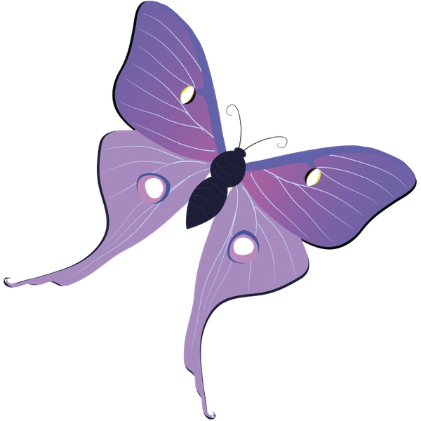 бабочка, насекомое, butterfly, insect, schmetterling, insekt, papillon, insecte, mariposa, insecto, farfalla, insetto, borboleta, inseto, метелик, комаха