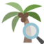 palm, zoom