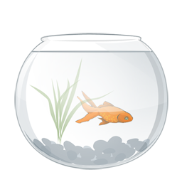 aqua, водоросль, water plant, seaweed, alga, seaware, fish, рыбы, аквариумная рыбка