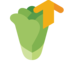 romaine, lettuce, up