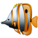 butterfly, fish, 128