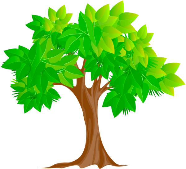 лиственное дерево, зеленое растение, природа, deciduous tree, green plant, laubbaum, grüne pflanze, natur, arbre à feuilles caduques, plante verte, nature, árbol de hoja caduca, naturaleza, albero a foglie decidue, pianta verde, la natura, árvore de folha caduca, planta verde, natureza, листяне дерево, зелена рослина