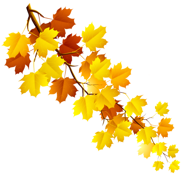 желтый лист, осенняя листва, кленовый лист, осень, ветка клена, yellow leaf, autumn foliage, maple leaf, autumn, maple branch, gelbes blatt, herbstlaub, ahornblatt, herbst, ahornzweig, feuille jaune, feuillage d'automne, feuille d'érable, automne, branche d'érable, hoja amarilla, follaje de otoño, hoja de arce, otoño, ramita de arce, foglia gialla, fogliame autunnale, foglia d'acero, autunno, ramoscello d'acero, folha amarela, folhagem de outono, folha de bordo, outono, ramo de bordo, жовтий лист, осіннє листя, кленовий лист, осінь, гілка клена