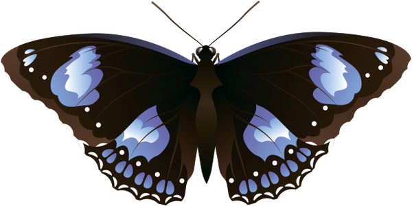 бабочка, насекомое, butterfly, insect, schmetterling, insekt, papillon, insecte, mariposa, insecto, farfalla, insetto, borboleta, inseto, метелик, комаха