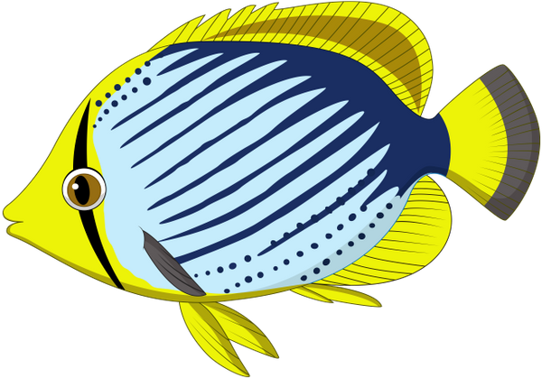 морская рыба, рыбы кораллового рифа, морская фауна, океанические рыбы, sea fish, coral reef fish, marine fauna, ocean fish, korallenrifffische, meeresfauna, meeresfische, poissons de récifs coralliens, faune marine, poissons de mer, peces de arrecife de coral, peces de mar, pesce di mare, pesci della barriera corallina, fauna marina, pesci oceanici, peixes do mar, peixes de recife de coral, fauna marinha, peixes do oceano, морська риба, риби коралового рифу, морська фауна, океанічні риби