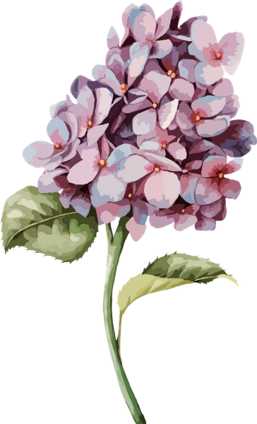 цветы, акварельные цветы, ветка сирени, сирень, флористика, флора, flowers, watercolor flowers, a branch of lilac, lilac, floristics, blumen, aquarellblumen, ein zweig der flieder, flieder, floristik, fleurs, aquarelles fleurs, une branche de lilas, lilas, floristique, flore, flores de acuarela, una rama de lila, lila, flores, flores em aquarela, um ramo de lilás, lilás, florística, flora, квіти, акварельні квіти, гілка бузку, бузок