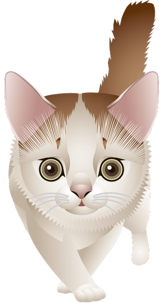 милый котик, животные, кошка, маленький кот, cute cat, animals, cat, little cat, niedliche katze, tier, katze, kleine katze, chat mignon, chat, petit chat, pequeño gato lindo, simpatico gatto, animale, gatto, piccolo gatto, gato bonito, animal, gato, gato pequeno, милий котик, тварини, кішка, маленький кіт
