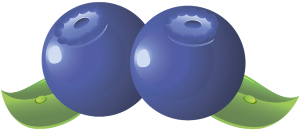черника, синяя ягода, ягода черники, синий, blue berries, blueberries, blue, blaubeeren, blau, baies bleues, bleuets, bleu, bayas azules, arándanos, bacche blu, mirtilli, blu, bagas azuis, mirtilos, azul, чорниця, синя ягода, ягода чорниці, синій