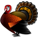 turkey, 128