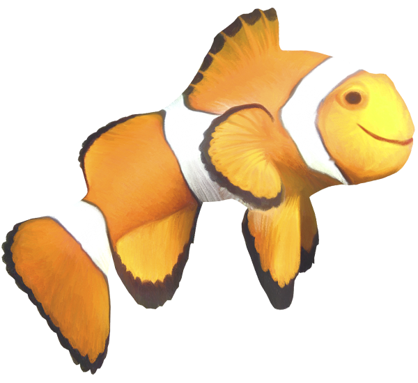 рыба клоун, яркая рыбка, красивая рыба, морская рыба, красивая рыбка, fish clown, sea fish, beautiful fish, clownfische, seefische, schöne fische, poissons clown, poissons d'eau salée, de beaux poissons, peces payaso, peces de agua salada, peces precioso, pesci pagliaccio, pesci di mare, bellissimo pesce, peixe-palhaço, peixes de água salgada, peixes bonitos