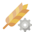 rye, gear