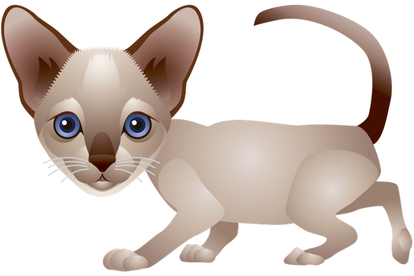 милый котик, животные, кошка, маленький кот, cute cat, animals, cat, little cat, niedliche katze, tier, katze, kleine katze, chat mignon, chat, petit chat, pequeño gato lindo, simpatico gatto, animale, gatto, piccolo gatto, gato bonito, animal, gato, gato pequeno, милий котик, тварини, кішка, маленький кіт
