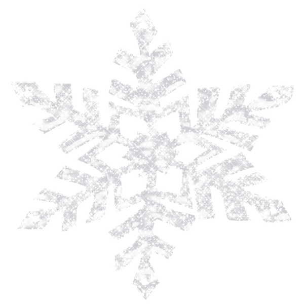 снежинка, зима, новый год, snowflake, new year, schneeflocke, winter, neues jahr, flocon de neige, hiver, nouvelle année, copo de nieve, invierno, año nuevo, fiocco di neve, anno nuovo, floco de neve, inverno, ano novo