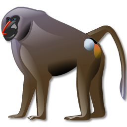 baboon, 256