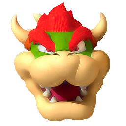 bowser head