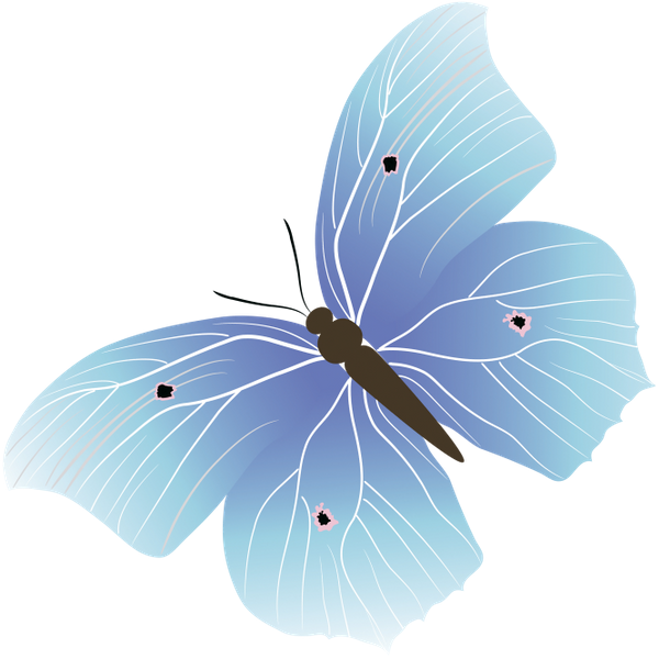 бабочка, насекомое, butterfly, insect, schmetterling, insekt, papillon, insecte, mariposa, insecto, farfalla, insetto, borboleta, inseto, метелик, комаха