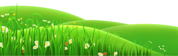 трава, ромашка, лужайка, ландшафт, зеленый, grass, daisy, lawn, landscape, green, gras, gänseblümchen, rasen, landschaft, grün, herbe, marguerite, pelouse, paysage, vert, hierba, margarita, césped, paisaje, erba, margherita, prato, paesaggio, grama, margarida, gramado, paisagem, verde, галявина, зелений
