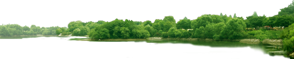 деревья растущие на берегу реки, река, берег, дерево, пейзаж, trees growing on the river bank, river, shore, tree, landscape, bäume an den ufern des flusses wachsen, flussufer, baum, landschaft, arbres qui poussent sur les rives de la rivière, bord de la rivière, arbre, paysage, árboles que crecen en las orillas del río, orilla del río, árbol, paisaje, alberi che crescono sulle rive del fiume, riva del fiume, albero, paesaggio, árvores que crescem nas margens do rio, banco de rio, árvore, paisagem