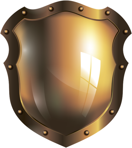 Shield защита. Щит защита. Железный щит. Платиновый щит. Щит иконка.