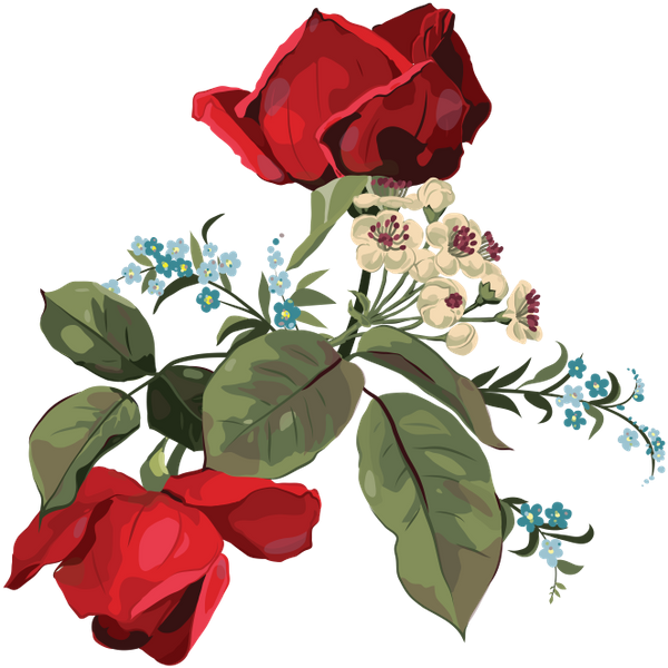 цветы, красный цветок, роза, flowers, red flower, spring, blumen, rote blume, frühling, fleurs, fleur rouge, printemps, rose, flor roja, fiori, fiore rosso, primavera, flores, flor vermelha, mola, rosa, квіти, червона квітка, весна, троянда