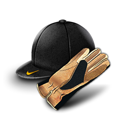конный спорт, шлем, перчатка, equestrian sport, helmet, glove, reiten, helme, handschuhe, équitation, casques, gants, equitación, cascos, guantes, equitazione, caschi, guanti, passeios a cavalo, capacetes, luvas, polo, кінний спорт, шолом, рукавичка, поло