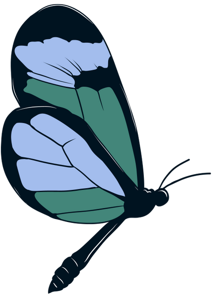 бабочка, насекомое, butterfly, insect, schmetterling, insekt, papillon, insecte, mariposa, insecto, farfalla, insetto, borboleta, inseto, метелик, комаха