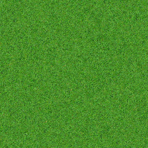 зеленая трава, текстура природа, texture nature, green grass, textur natur, grünes gras, nature texture, herbe verte, textura de la naturaleza, la hierba verde, tessitura natura, erba verde, textura natureza, grama verde, зелена трава, экология, екологія, ecology, ökologie, l'écologie, ecología, ecologia, текстура трава