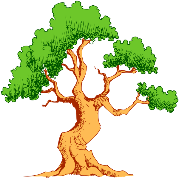 лиственное дерево, зеленое растение, природа, deciduous tree, green plant, laubbaum, grüne pflanze, natur, arbre à feuilles caduques, plante verte, nature, árbol de hoja caduca, naturaleza, albero a foglie decidue, pianta verde, la natura, árvore de folha caduca, planta verde, natureza, листяне дерево, зелена рослина
