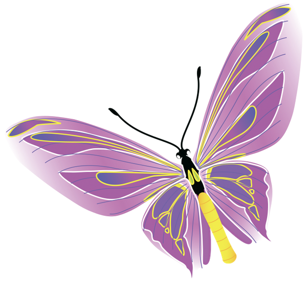 бабочка, насекомое, butterfly, insect, schmetterling, insekt, papillon, insecte, mariposa, insecto, farfalla, insetto, borboleta, inseto, метелик, комаха