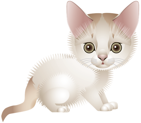 милый котик, животные, кошка, маленький кот, cute cat, animals, cat, little cat, niedliche katze, tier, katze, kleine katze, chat mignon, chat, petit chat, pequeño gato lindo, simpatico gatto, animale, gatto, piccolo gatto, gato bonito, animal, gato, gato pequeno, милий котик, тварини, кішка, маленький кіт