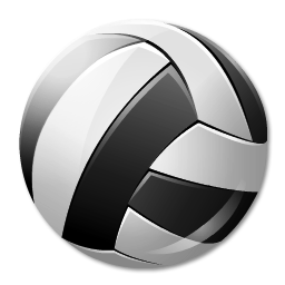 volleyball, 256