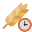 rye, clock