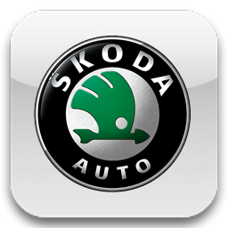 skoda, шкода