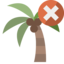 palm, close