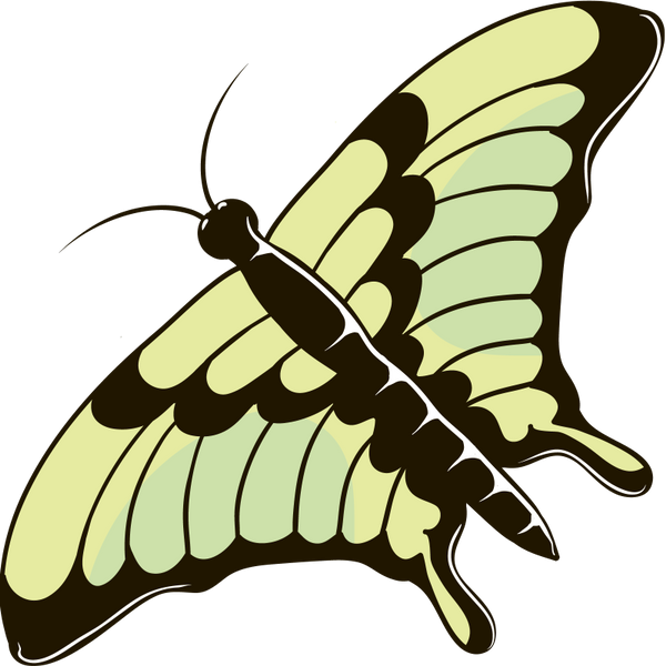бабочка, насекомое, butterfly, insect, schmetterling, insekt, papillon, insecte, mariposa, insecto, farfalla, insetto, borboleta, inseto, метелик, комаха